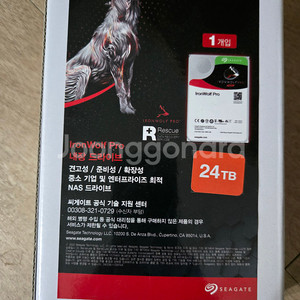 시게이트 IRONWOLF PRO 24TB HDD 4개