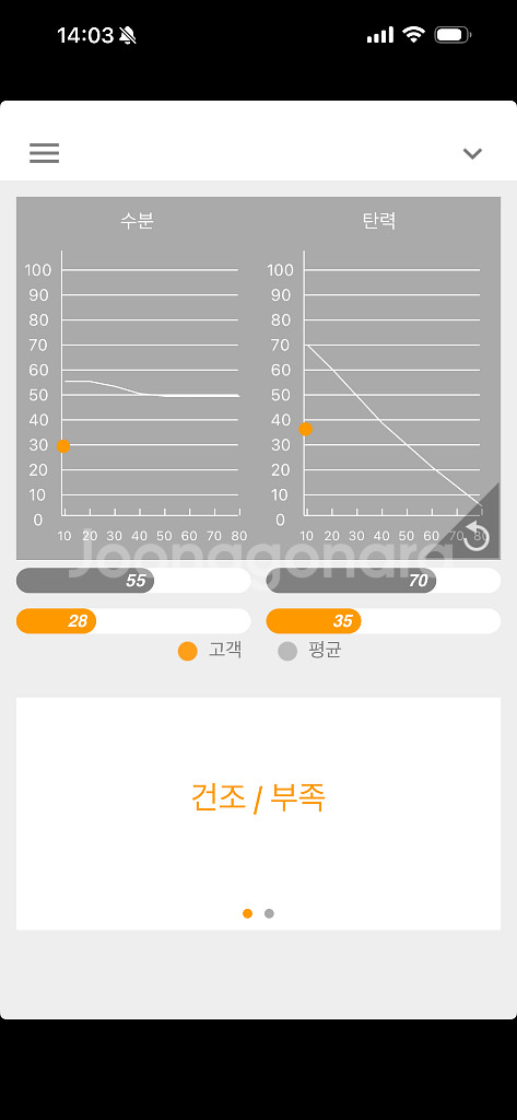 아람휴비스 API-100 피부진단기--4