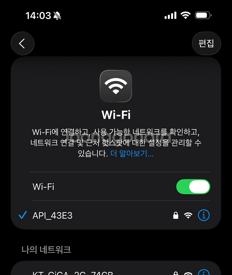 아람휴비스 API-100 피부진단기--5