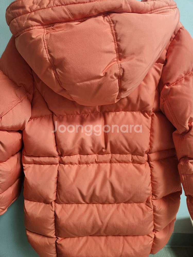 블루독 구스패딩130--4