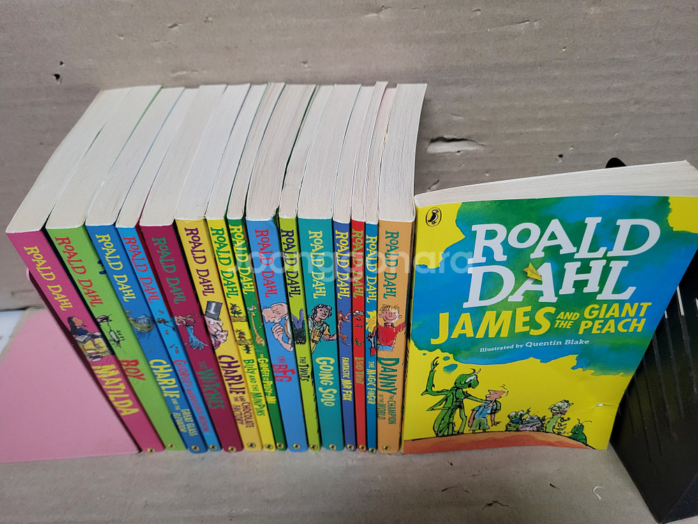 MAGIC TREE HOUSE 28종 SET (책만28--1
