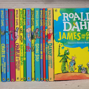 MAGIC TREE HOUSE 28종 SET (책만28