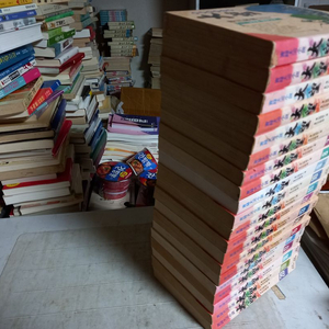 대망 전20권 1,3번 2권은 갈라짐 있습니다 실사진