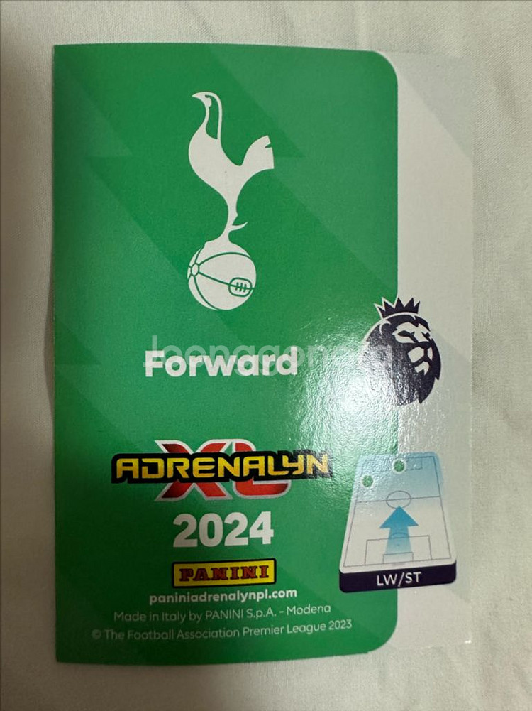 파니니 손흥민 리미티드--1