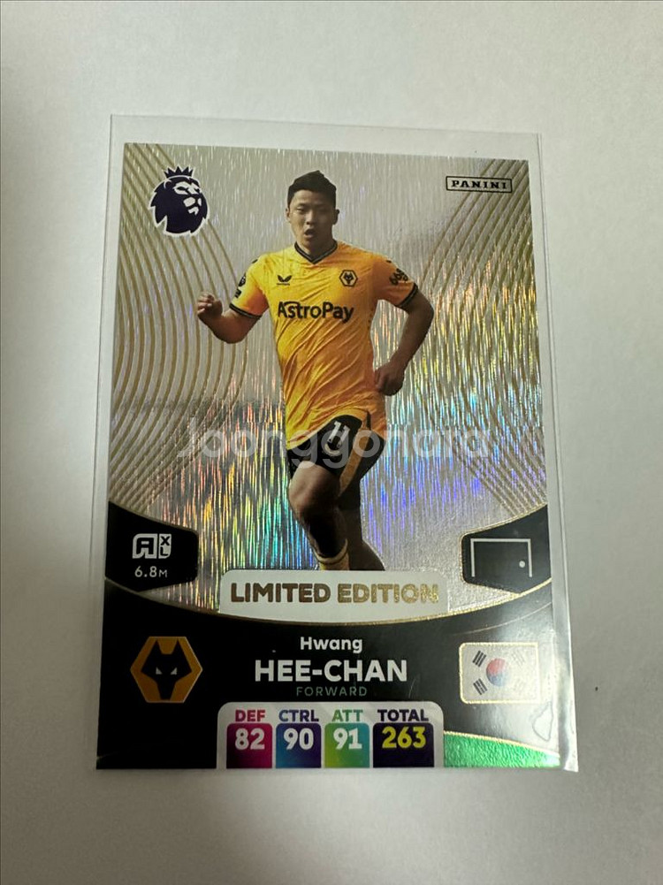 파니니 황희찬 리미티드--0