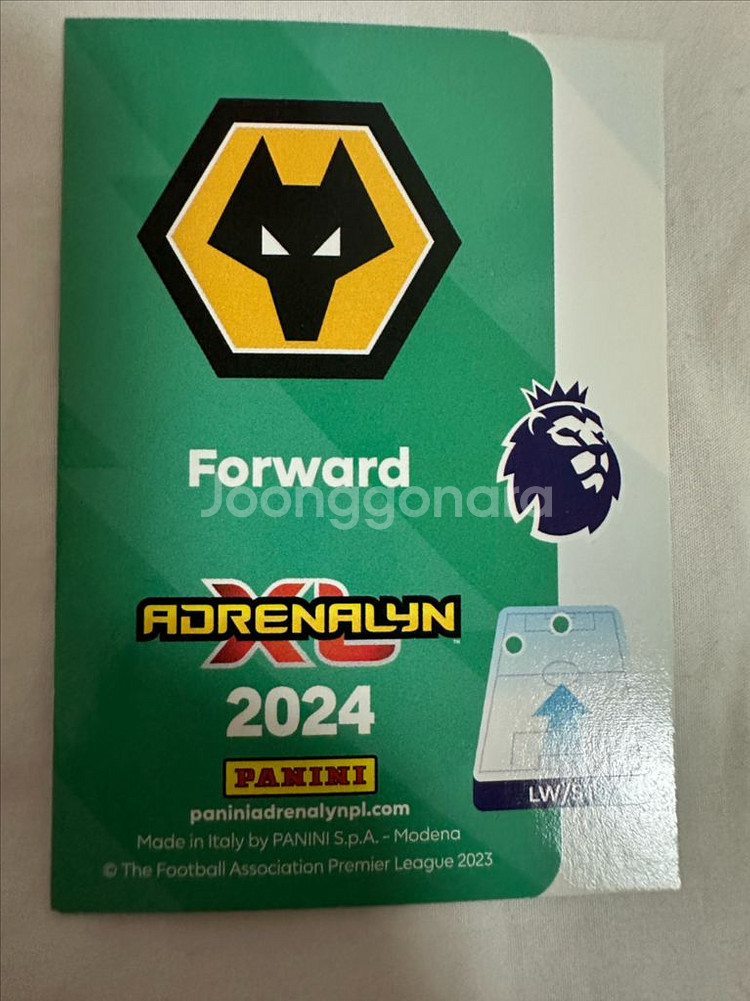 파니니 황희찬 리미티드--1