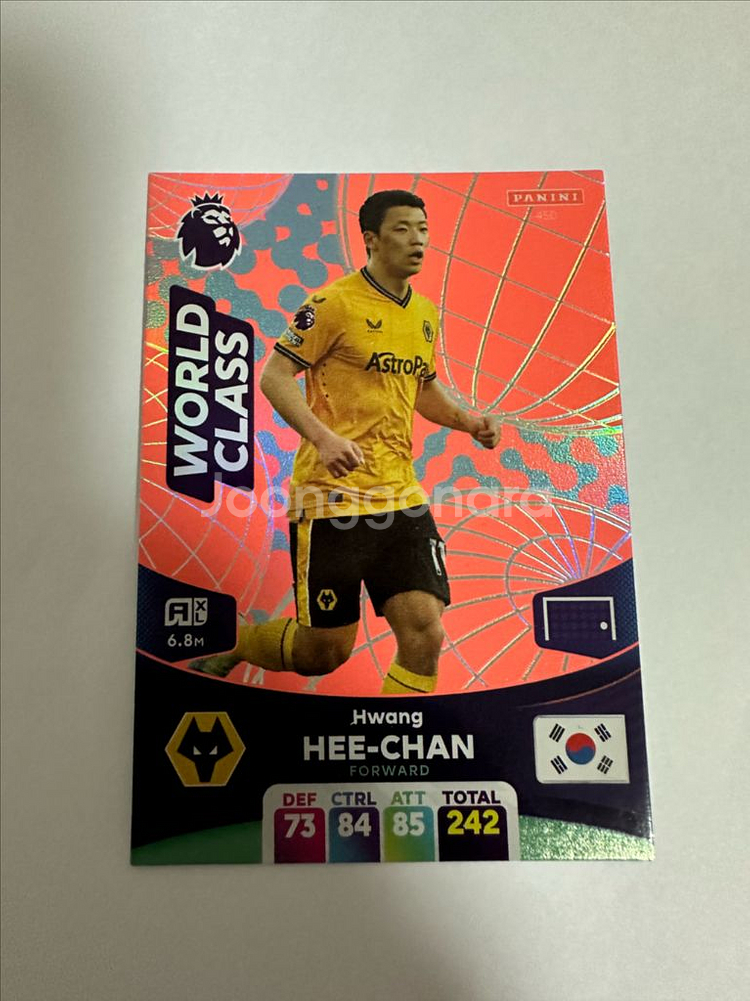 파니니 황희찬 스페셜--0