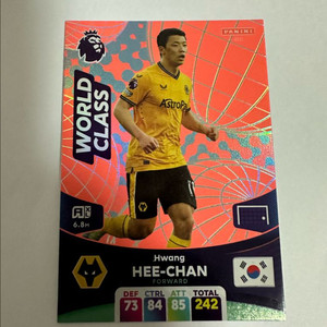 파니니 황희찬 스페셜