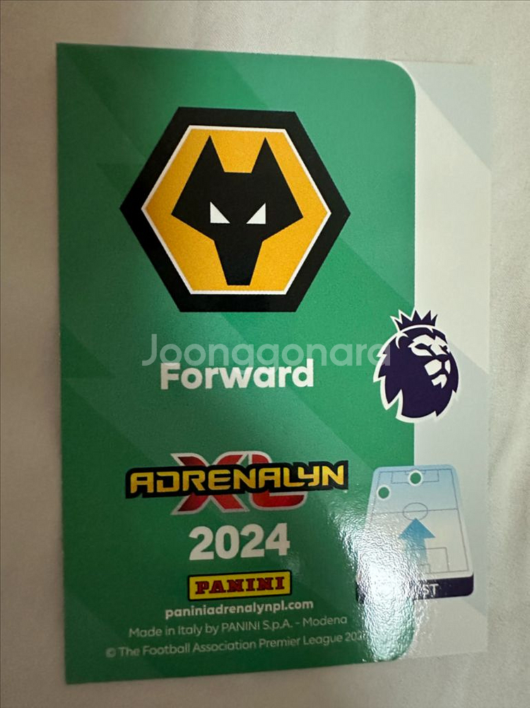 파니니 황희찬 스페셜--1