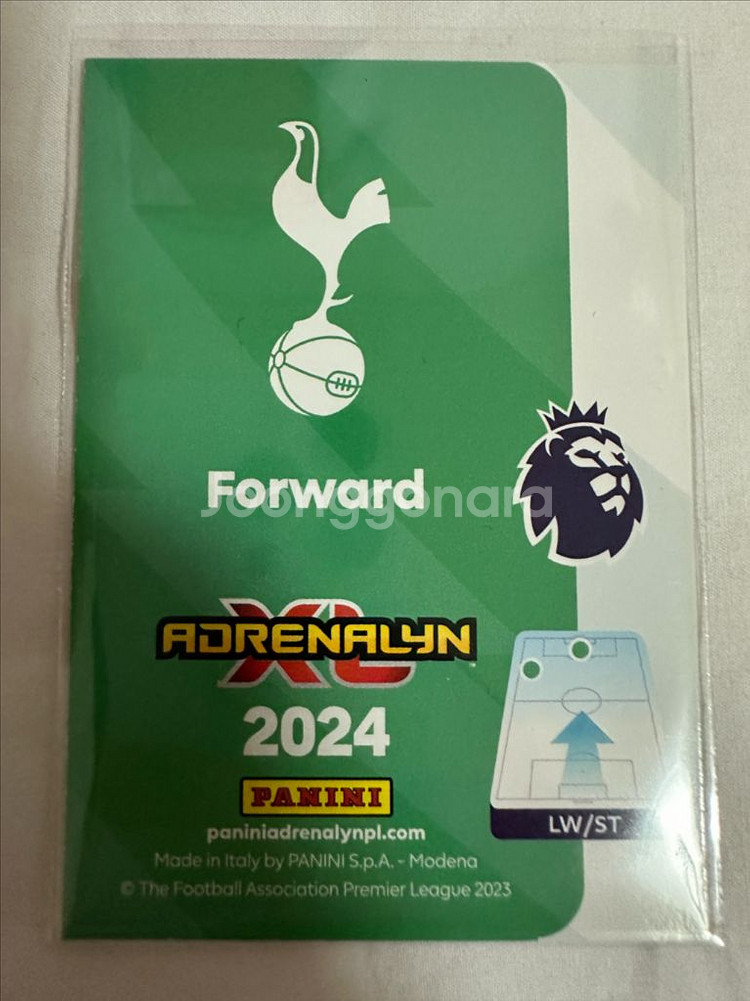 파니니 손흥민 아이스--1