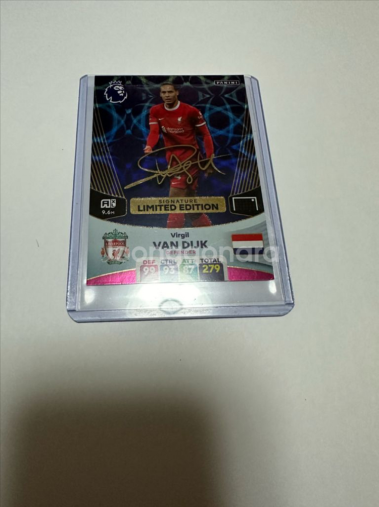 파니니 반다이크 시그니처 리미티드--0