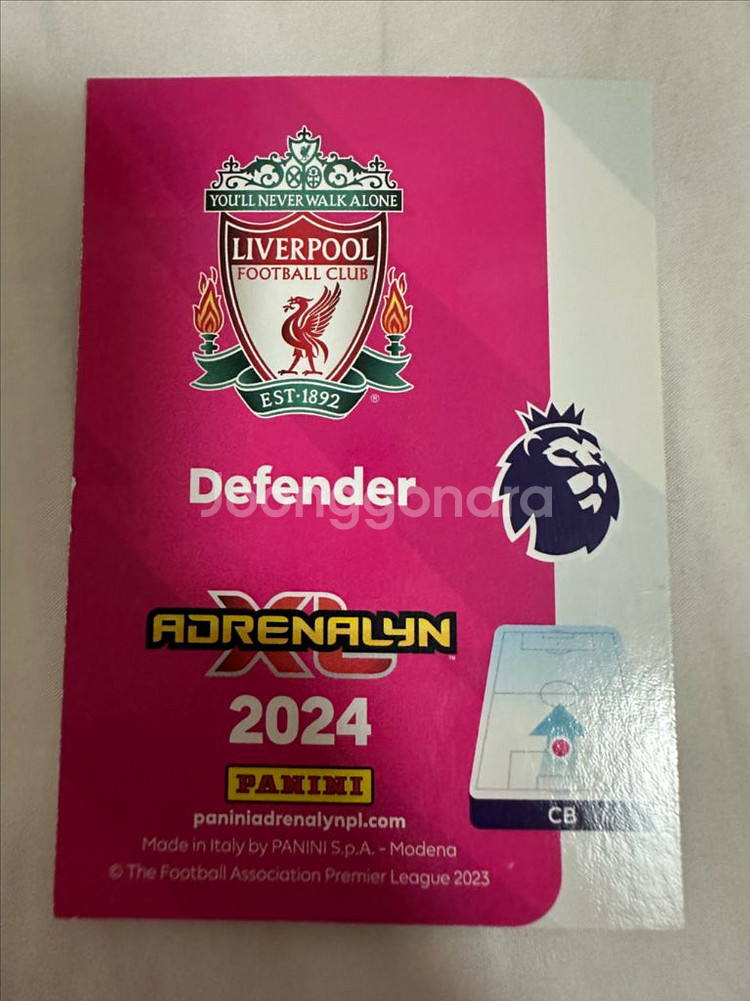 파니니 반다이크 시그니처 리미티드--1