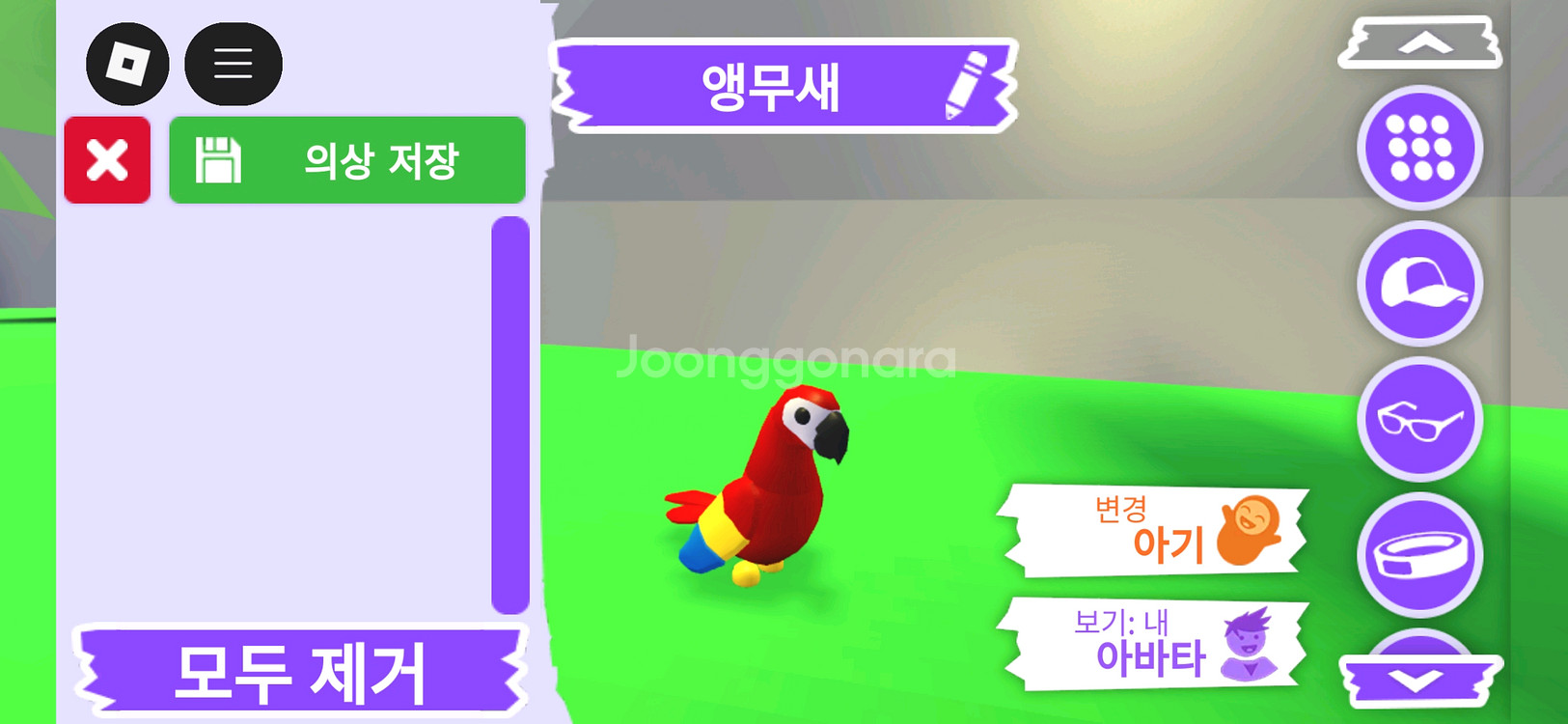 입양하세요 펫 앵무새 판매합니다--2