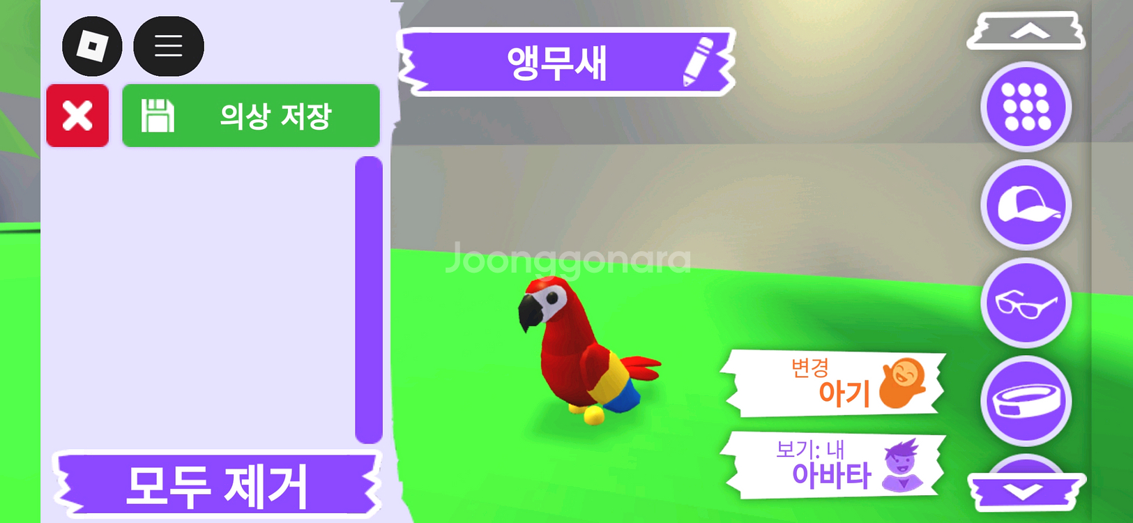 입양하세요 펫 앵무새 판매합니다--1