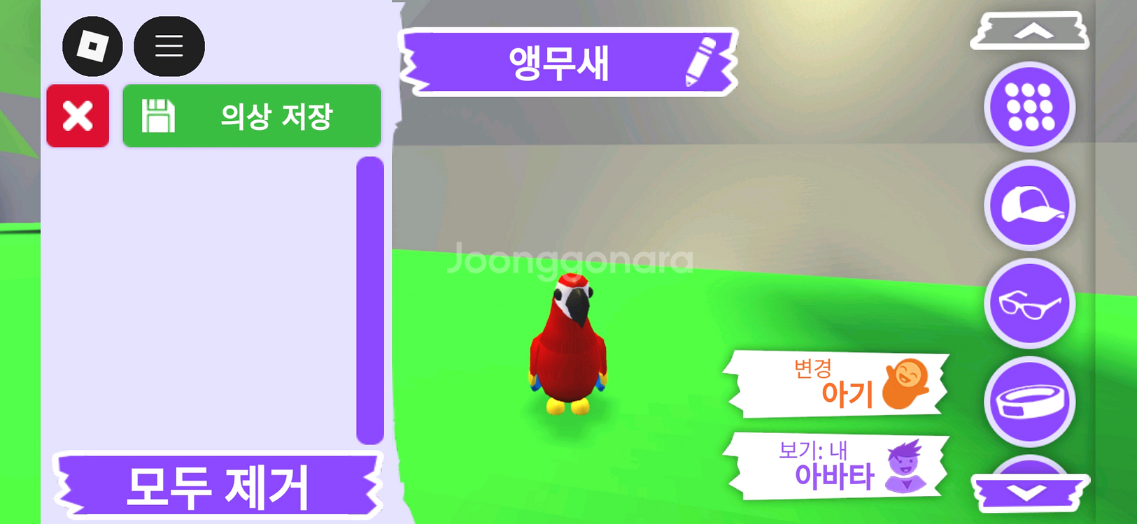입양하세요 펫 앵무새 판매합니다--0