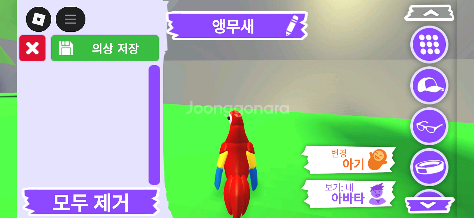 입양하세요 펫 앵무새 판매합니다--3