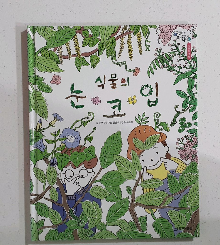 웅진 원리가보이는 수학.과학.사회 전집 책 이미지