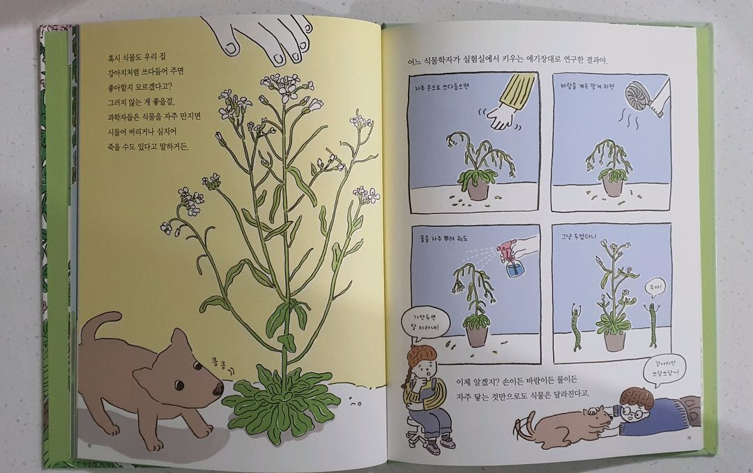 웅진 원리가보이는 수학.과학.사회 전집 책 이미지