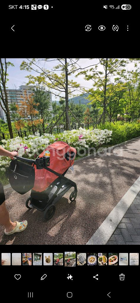 부가부 드래곤플라이--0