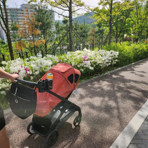 부가부 드래곤플라이