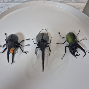 반다이 생물대도감 장수풍뎅이 판매합니다