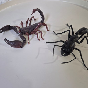 반다이 생물대도감 전갈,개미 판매합니다