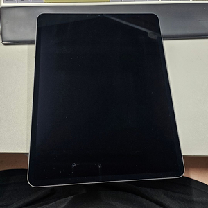 아이패드프로12.9 4세대 512GB WIFI 스그