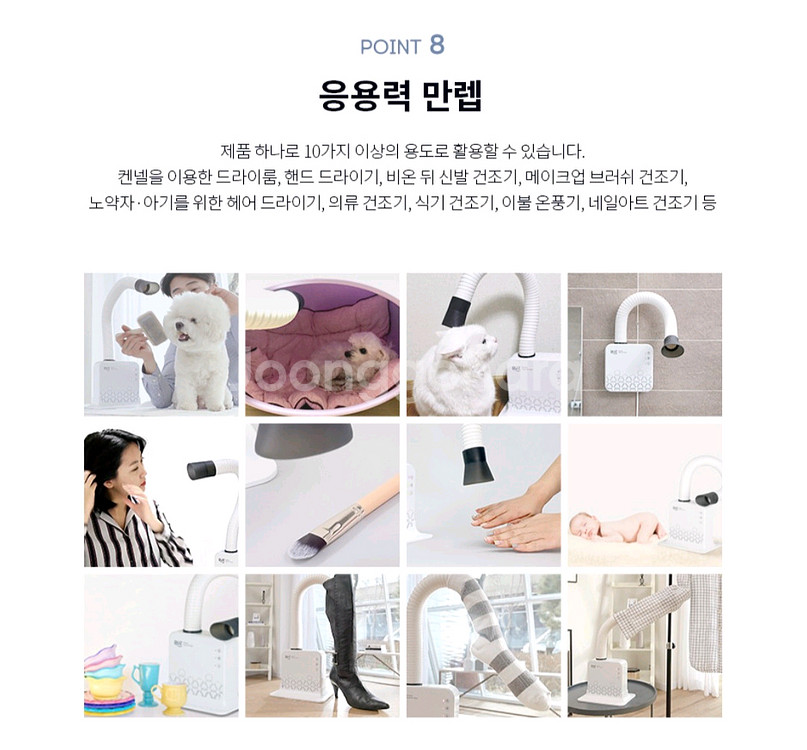 두즈 핸즈프리 강아지 드라이어 초S급--9