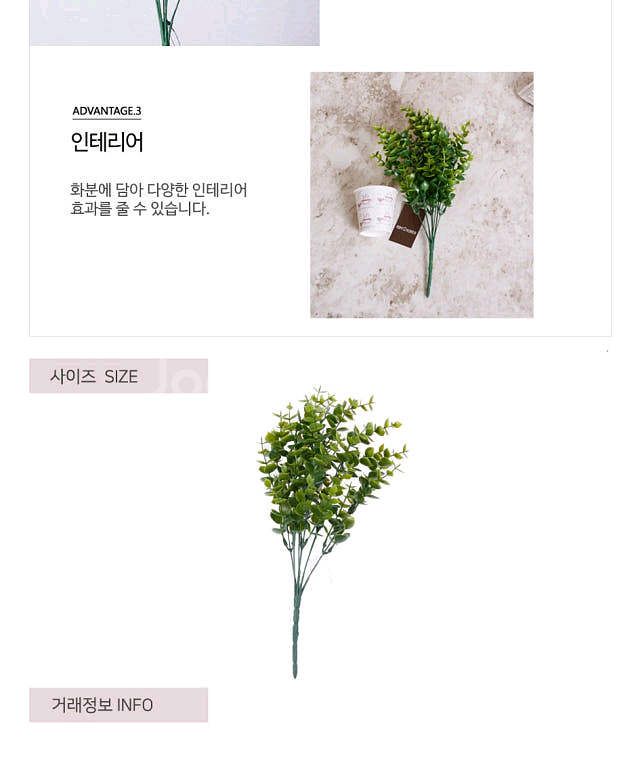 식물 조화 인조 유칼리튭스 세트구매가능--5