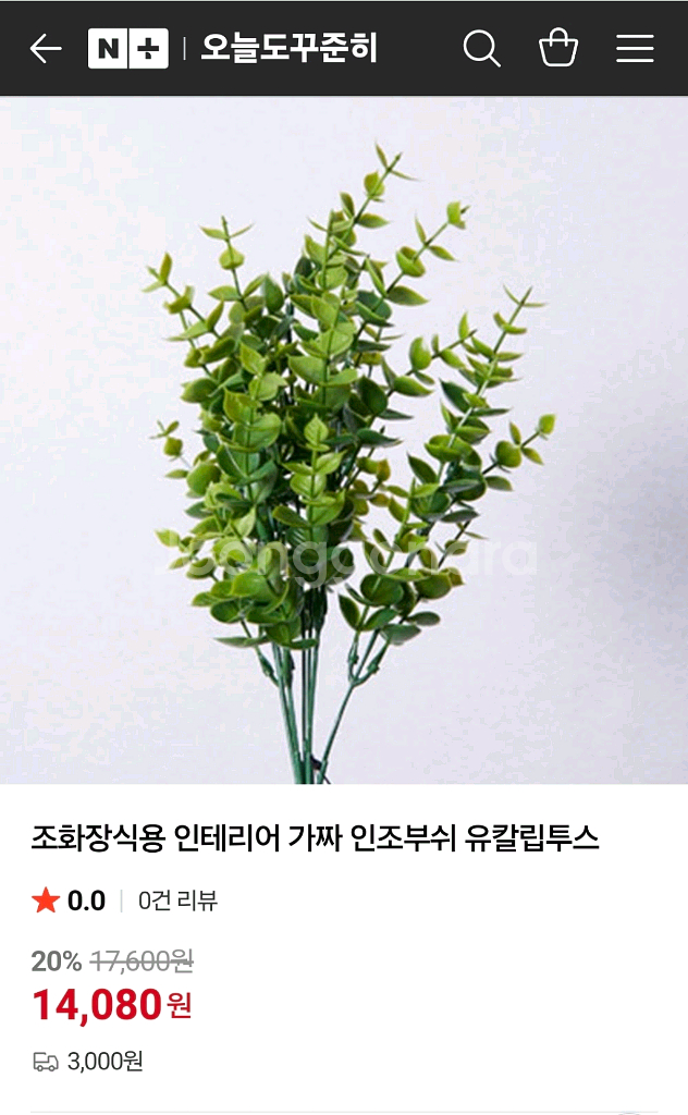 식물 조화 인조 유칼리튭스 세트구매가능--1