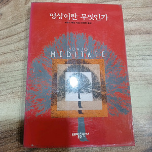 명상이란 무엇인가 (로렌스 레산.지음)