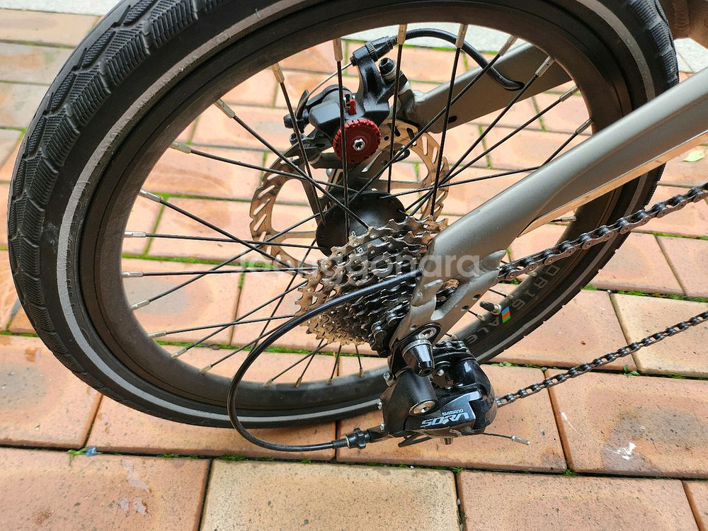 뉴버디 스탠다드--1