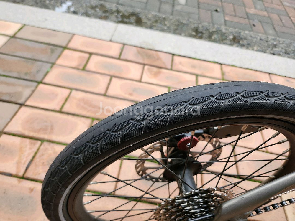 뉴버디 스탠다드--2