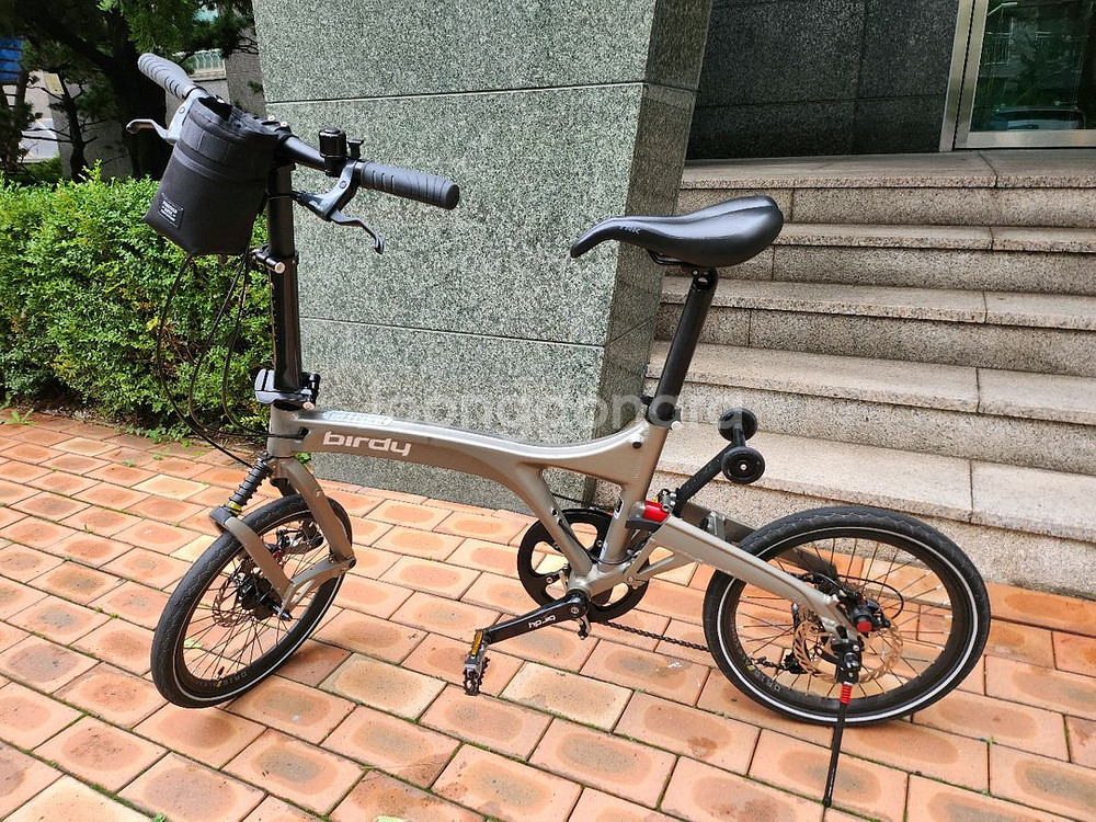 뉴버디 스탠다드--0