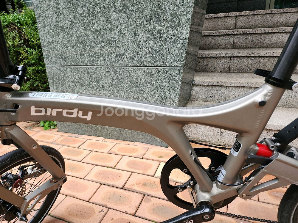 뉴버디 스탠다드--4