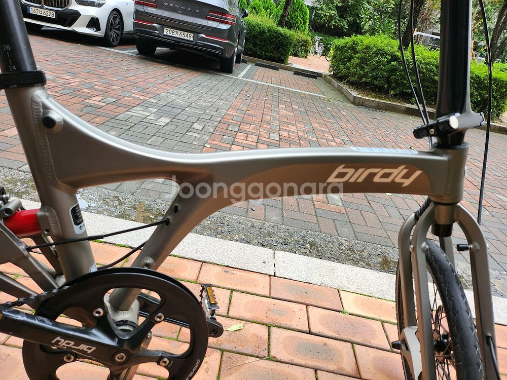 뉴버디 스탠다드--3