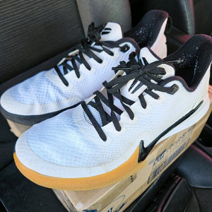 코비 맘바 포커스 270(275 가능)