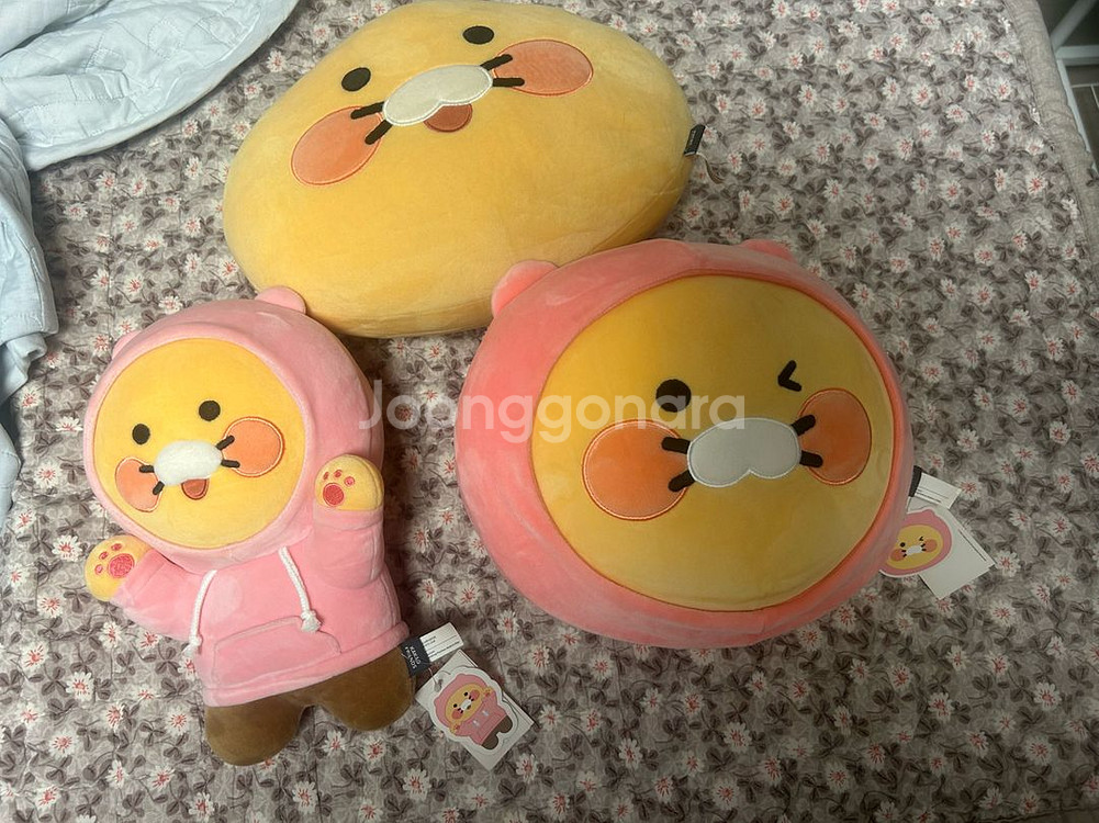 카카오프렌즈 춘식이 인형 싸게 판매(상태 최상)--0