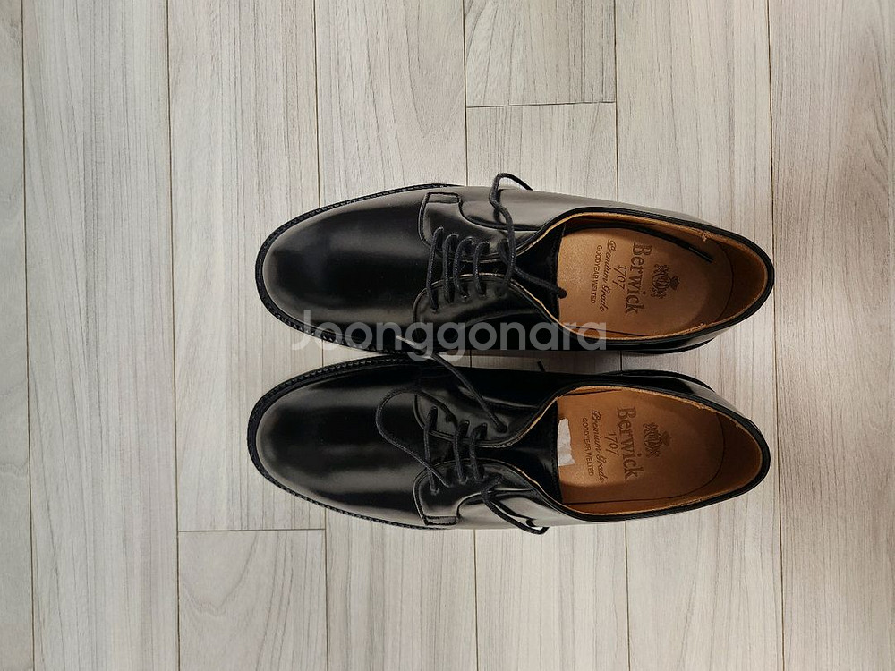 [새상품] 버윅 5341 코도반 6.5--2