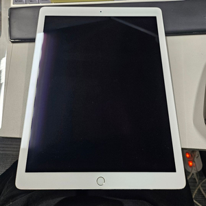 아이패드프로12.9 2세대 64GB 실버