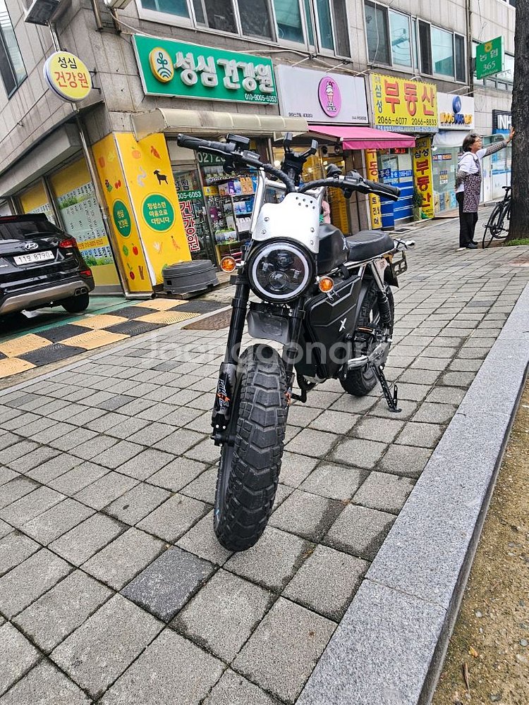 엑스라이더x200pro 크롬 전기자전거--0