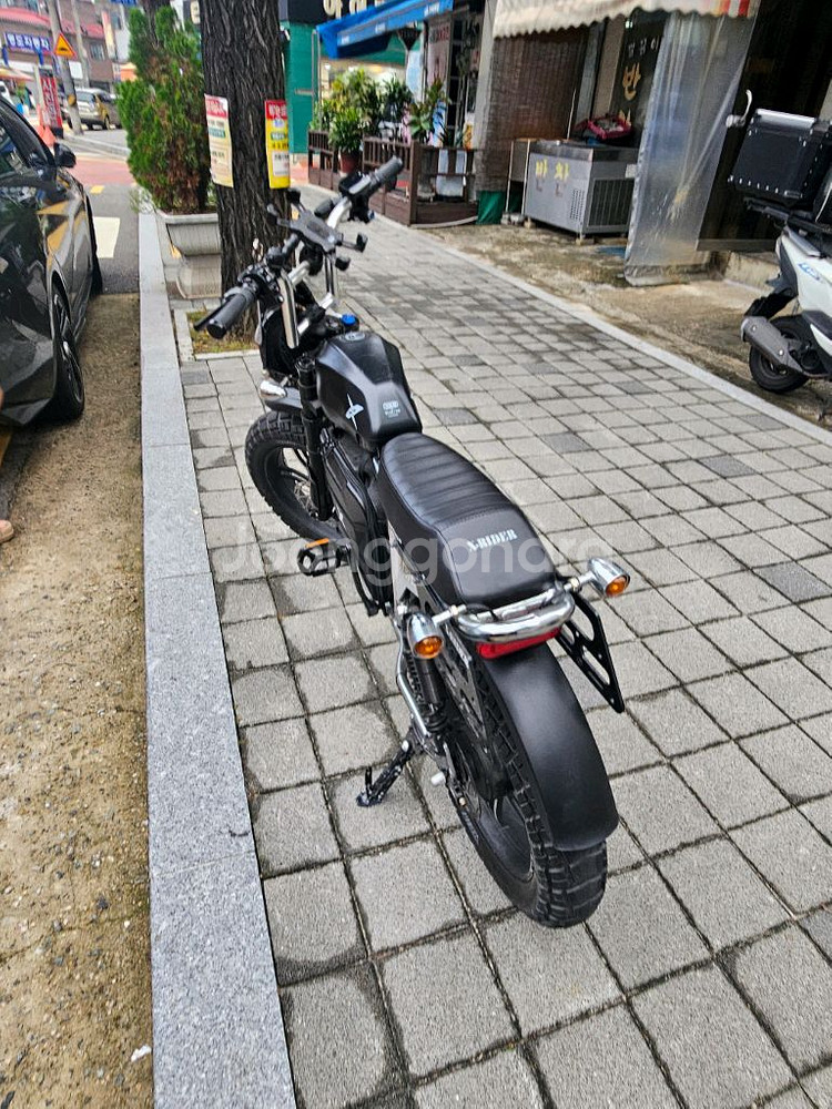 엑스라이더x200pro 크롬 전기자전거--2