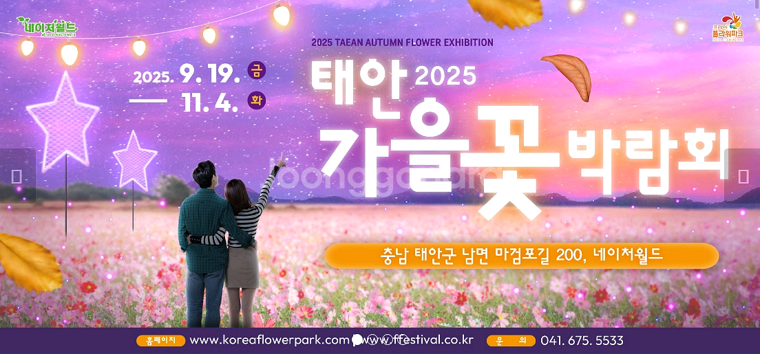 2025 태안 가을꽃박람회 입장권 4매--0