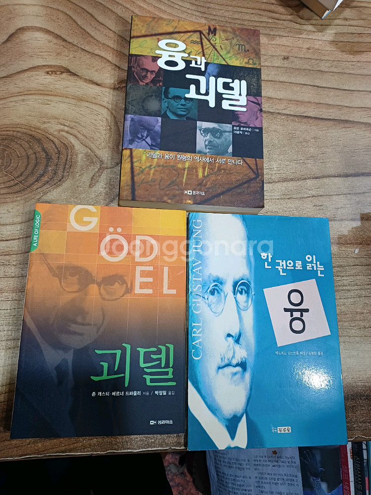 융과 괴델 / 괴델 / 한권으로읽는융(3권합 )--0