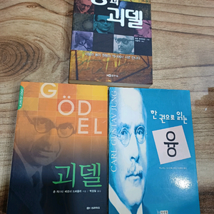 융과 괴델 / 괴델 / 한권으로읽는융(3권합 )