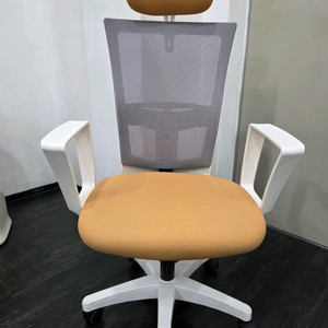 chairsco 체어스코 브랜드의 사무용 의자입니다메쉬