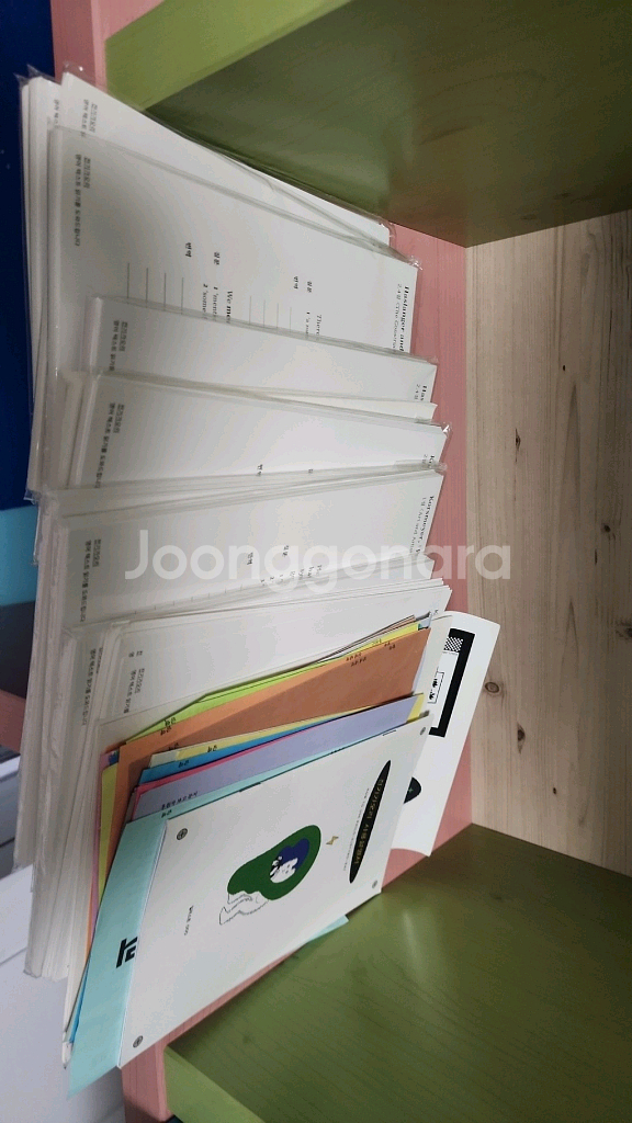 전기가오리 일괄 판매--5