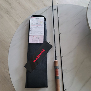 텐류 레이즈 스펙트라 RZS53LML 분양