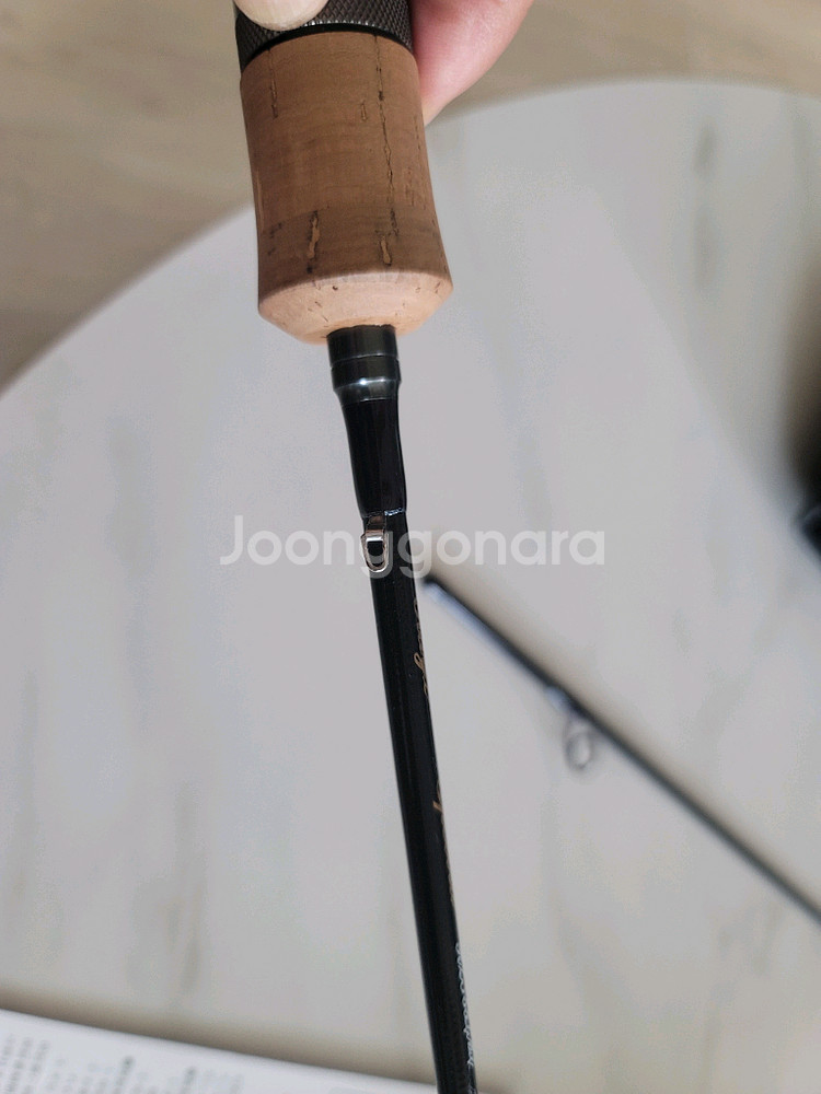 텐류 레이즈 스펙트라 RZS53LML 분양--4