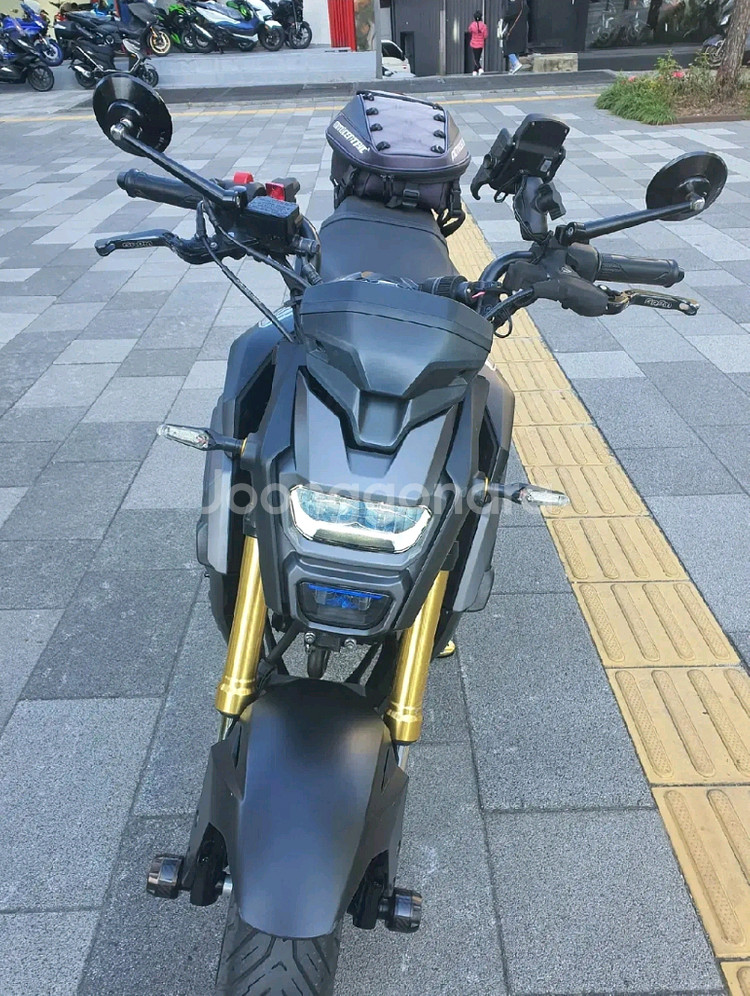 MSX125 SF 2017년식 아크라포빅 구변--0